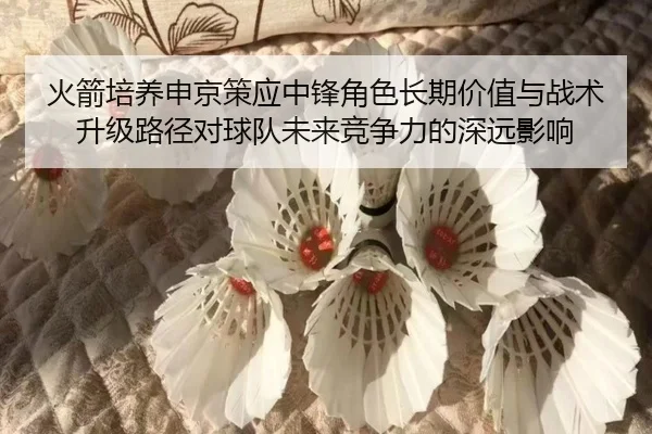火箭培养申京策应中锋角色长期价值与战术升级路径对球队未来竞争力的深远影响